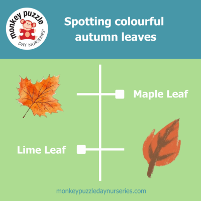 Spotting- Leaves - Maple and Lime Leaves