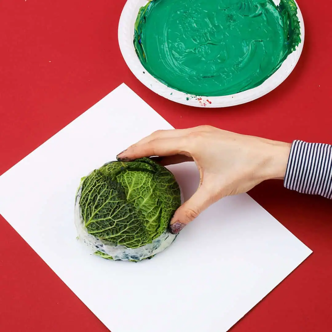 Fresh Savoy cabbage being prepared for children's educational activity at Monkey Puzzle Day Nurseries, promoting healthy eating and hands-on learning.