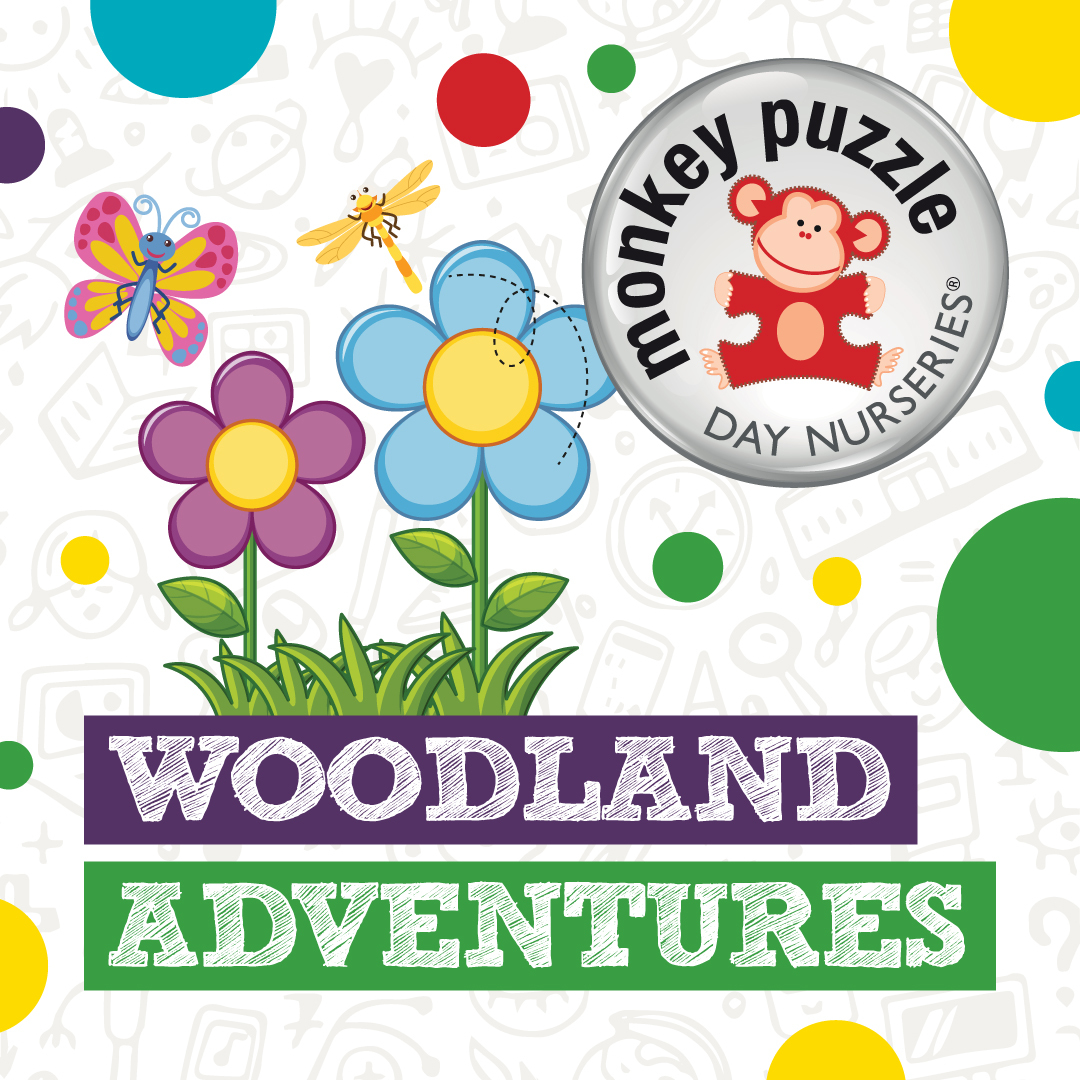 Woodland Adventures Activity