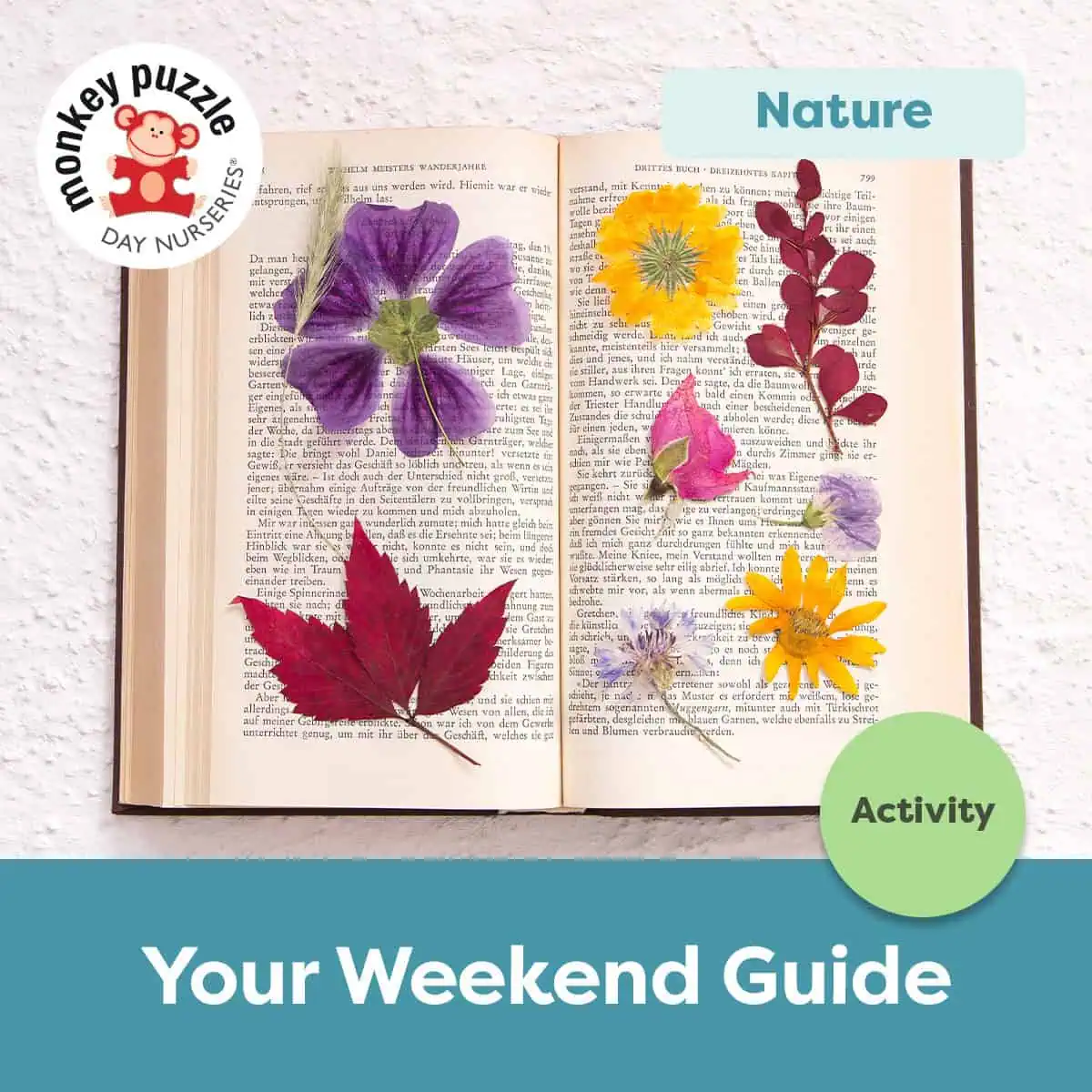 Colorful pressed flowers and leaves arranged on an open book for kids nature activity.