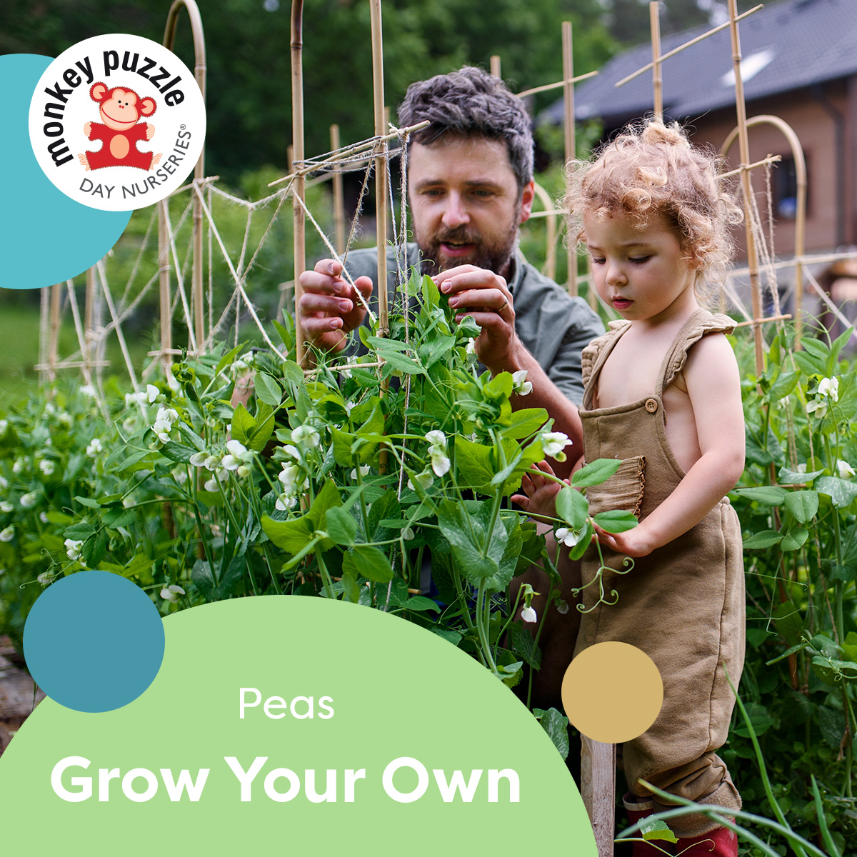 Grow Your Own Peas
