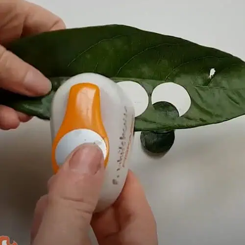 Green leaf with small holes and a glue applicator, illustrating creative arts and crafts activities for children at Monkey Puzzle Day Nurseries.
