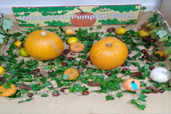 Pumpkin patch learning activity