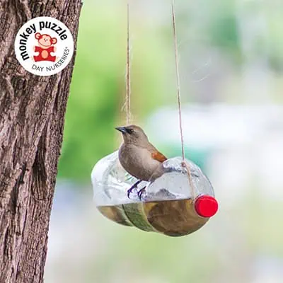 Colorful bird feeder hanging from a tree at Monkey Puzzle Day Nurseries, promoting engaging outdoor activities for preschool children.