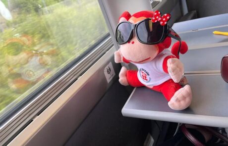 Enjoying the Eurostar to France