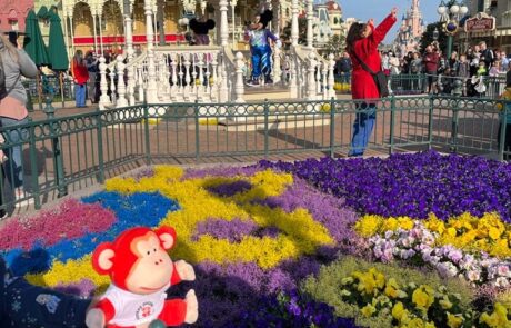 Enjoying the flowers in Disneyland