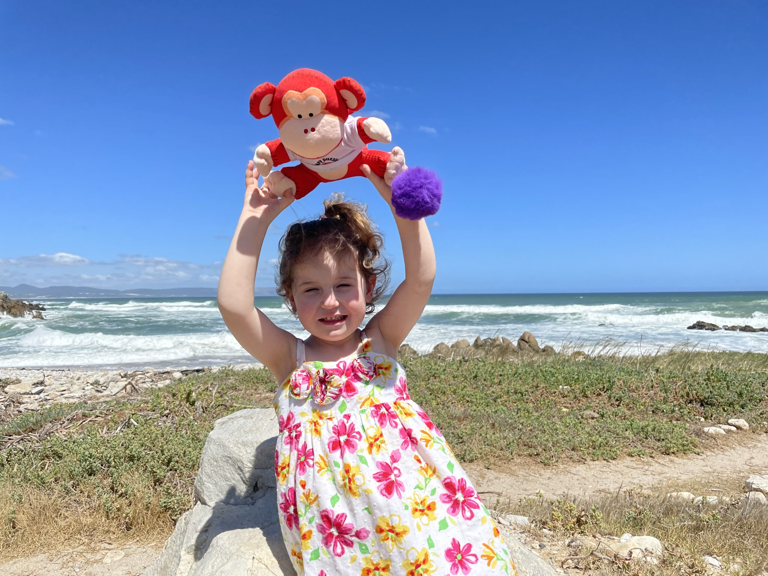 south-africa-monkey-puzzle-day-nurseries