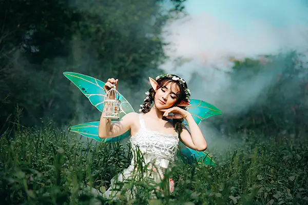 Fairies and leprechauns from Ireland Fairies and leprechauns from Ireland