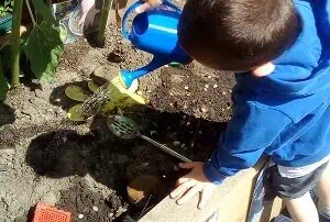 Kids planting and gardening activities at Monkey Puzzle Day Nurseries, encouraging outdoor learning and environmental awareness for preschool children.