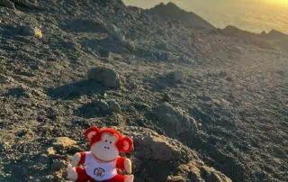 Marvin in Tanzania Monkey puzzle plush toy on rocky mountain at sunrise, scenic view and outdoor adventure, child-friendly play, soft toy for nursery or daycare, adventure-themed stuffed animal for children, Monkey Puzzle Day Nurseries.