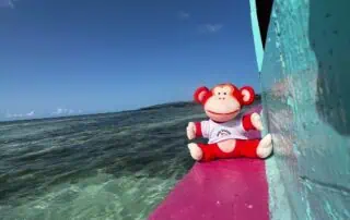 Marvin relaxing in the sea Adorable monkey plush toy on colorful boat at the beach, perfect for children's play area illustrations.