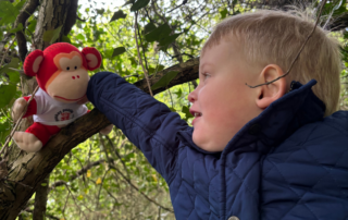 Marvin climbing the trees with Charlie