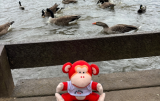 Marvin feeding the ducks