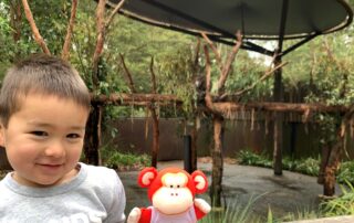 Cute young boy visiting Monkey Puzzle Day Nurseries, holding a plush monkey toy, enjoying outdoor nature play area with wooden fence, trees, and sunshade.