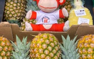 Pineapples displayed in a produce market with a Monkey Puzzle Day Nurseries plush toy monkey in the center, surrounded by fresh pineapples, emphasizing healthy eating and children's clothing at nurseries.