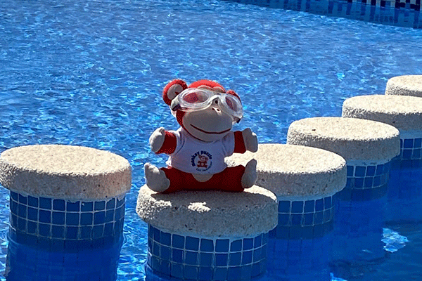 Marvin in the pool in Spain