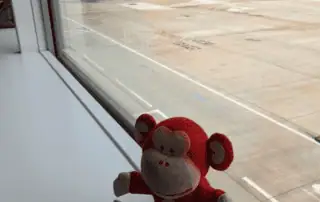 Fluffy red monkey stuffed toy sitting by the window at Monkey Puzzle Day Nurseries with an airport runway and airplane outside.