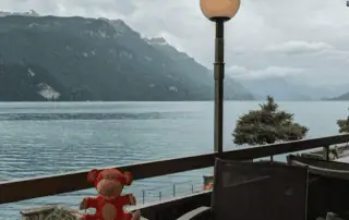 Relaxing lakeside view at Monkey Puzzle Day Nurseries offering outdoor spaces for children.