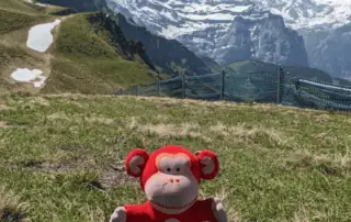 Cute plush monkey toy sitting on grassy mountain slope with snow-capped peaks and scenic landscape in the background, ideal for children's outdoor adventures and forest play activities.