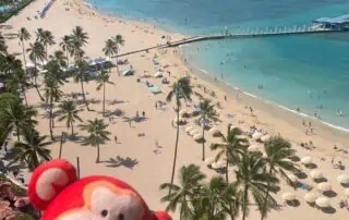 1 Bright colorful monkey plush toy with a beach and ocean view, palm trees, and umbrellas in the background, capturing a fun tropical vacation setting.