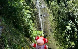 2 Monkey Puzzle Day Nurseries - Peaceful outdoor nature play area with lush greenery and a small waterfall, featuring a monkey plush toy in a natural setting for early childhood outdoor activities.
