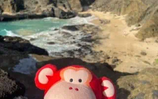 4 Colorful plush monkey toy at the beach with rugged cliffs and turquoise water in the background, capturing a fun and playful atmosphere.