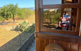 Bright wooden playhouse at Monkey Puzzle Day Nurseries, with scenic outdoor garden, cactus plants, and child-friendly features, creating a safe, engaging environment for early childhood development.