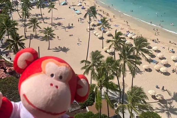 Cute monkey plush toy overlooking a tropical beach with palm trees and sun umbrellas, ideal for children's nursery themes and playful educational settings.