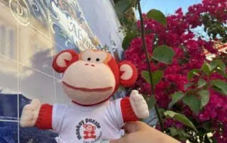 image00002 Cute monkey plush toy wearing a "Monkey Puzzle Day Nurseries" t-shirt with pink bougainvillea flowers and colorful tiles in the background, promoting early childhood education and nursery services.