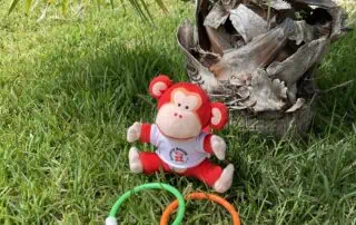 image00008 Monkey Puzzle Day Nurseries themed plush monkey toy with colorful wristbands, placed on lush green grass beside a palm tree, showcasing engaging outdoor play activities for preschool children.