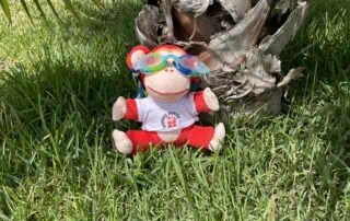 image00013 Monkey Puzzle Day Nurseries plush monkey toy wearing goggles and a white shirt, sitting on green grass near a palm tree.