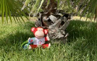 image00016 Monkey Puzzle daytime nursery plush toy sitting on lush green grass beneath a tropical palm tree.