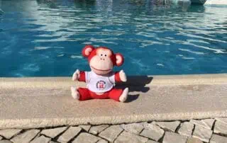 image00022 Pool image of monkey puzzle day nurseries outdoor swimming pool with plush monkey toy sitting by the poolside, sunny day, children playing in the background, family-friendly environment, summer activities at day nursery.