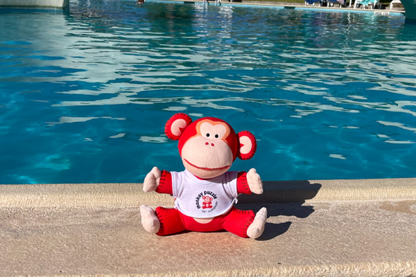 marvin-at-the-pool - Marvin's Adventures