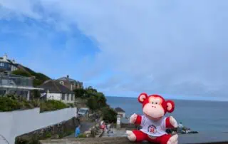 Colorful monkey plush toy sitting on a wooden ledge near the coastal ocean, representing fun and playful atmosphere at Monkey Puzzle Day Nurseries.