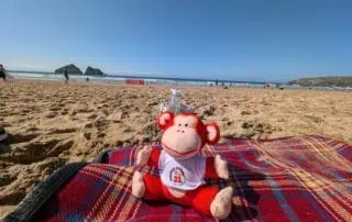 Colorful monkey plush toy on a beach picnic blanket at the seaside, enjoying a sunny day with clear skies and ocean waves, perfect for children's outdoor activities and family vacations.