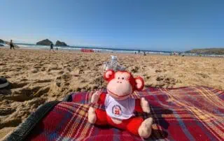 Colorful Monkey Puzzle Day Nurseries plush monkey toy sitting on a red plaid blanket at the beach with a scenic ocean view and people enjoying the seaside in the background.