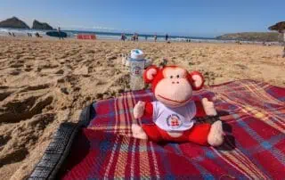 Colorful Monkey Puzzle Day Nursery plush toy sitting on a red plaid blanket at the beach, with water and people in the background, showcasing fun and caring environment for young children.