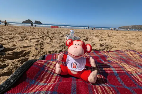 A playful monkey plush toy sits on a red plaid blanket on the beach with people and the ocean in the background.
