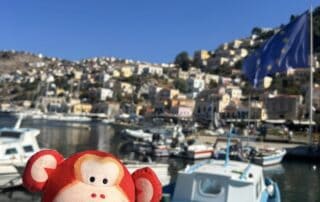 Colorful monkey plush toy held in front of a marina with boats and hillside homes under clear blue sky.