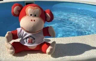 Soft toy monkey sitting on poolside at Monkey Puzzle Day Nurseries with a bright blue swimming pool in the background.