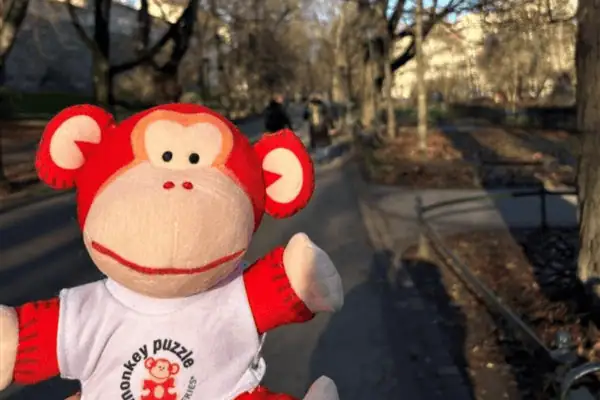 Monkey Puzzle Day Nurseries logo mascot monkey plush toy in outdoor park setting, representing early childhood education and playful learning environments.