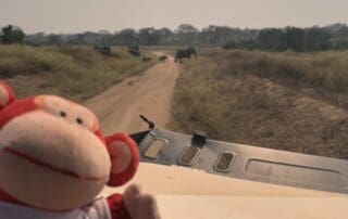 IMG_1386 Monkey Puzzle Day Nurseries wildlife safari adventure, children’s nursery outdoor learning, early childhood education, fun environmental activities at Monkey Puzzle Day Nurseries.