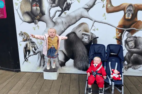 Colorful mural at Monkey Puzzle Day Nurseries featuring friendly jungle animals, perfect for engaging young children in a vibrant learning environment.