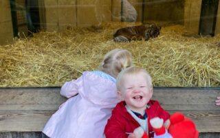 Young children enjoying a day at Monkey Puzzle Day Nurseries, observing playful tiger cubs through a large glass enclosure, capturing joy and wonder in early childhood development.